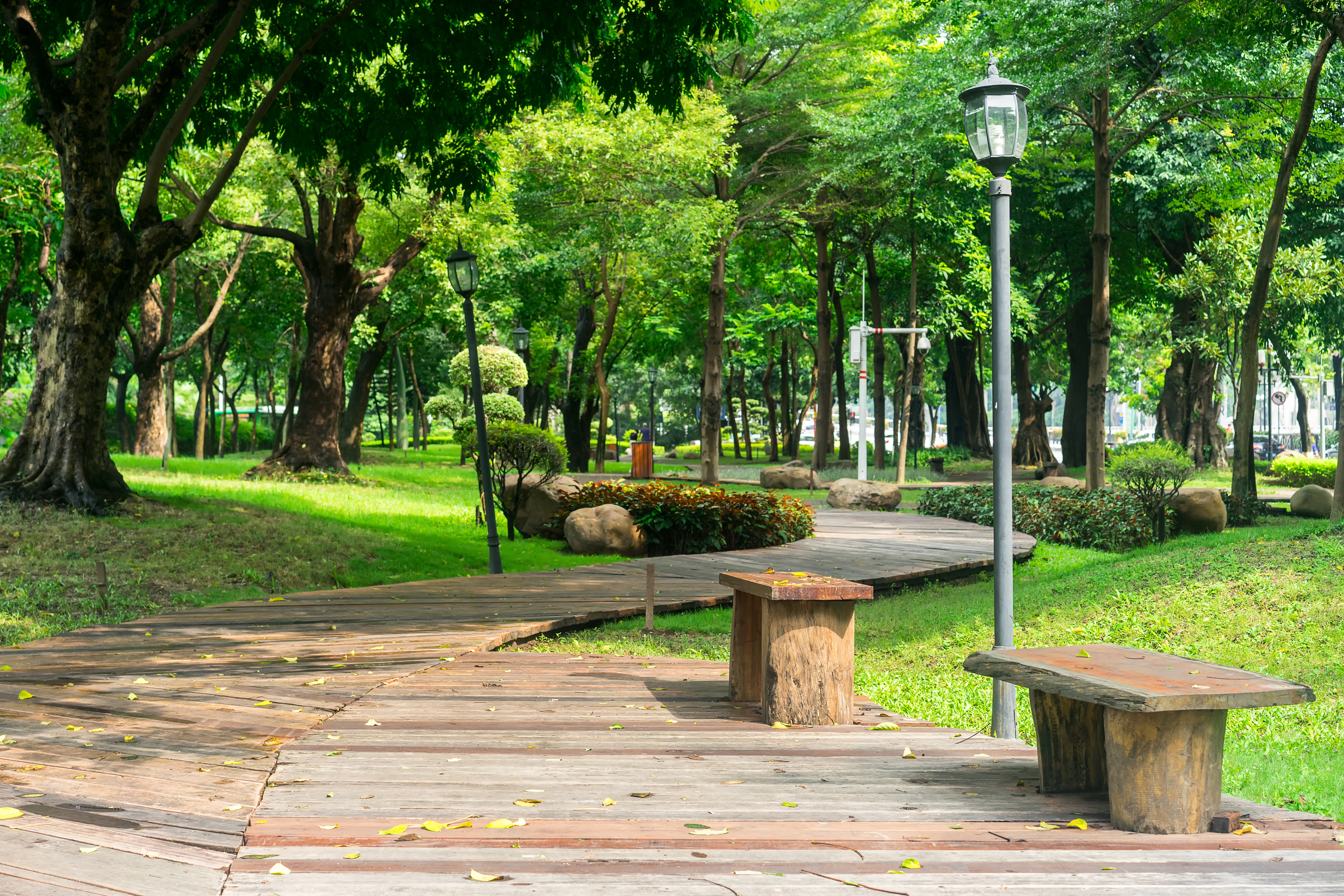 Thematic Park